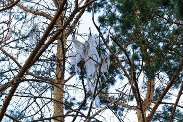 plastic bag was tangled in the branches of a tree. Ecology, freedom from plastic