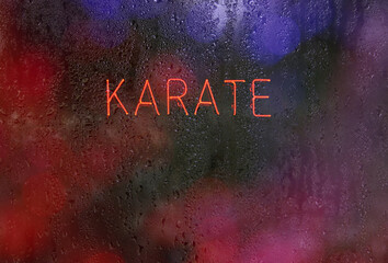 Neon Martial Arts Sgn in School Window Karate