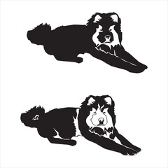 Chow chow black silhouette, vector illustration isolated on white background.