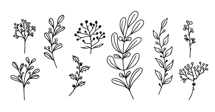 Set of hand-drawn floral elements,doodle plants and branches on a white background. Sketchy elements of design. Vector doodle illustrations.