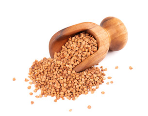 Roasted buckwheat grains in wooden scoop, isolated on white background. Dry brown buckwheat groats.