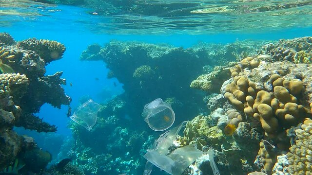 Close-up of plastic trash swims in the blue water with colored tropical fishes in sinrays. Underwater shot. Plastic pollution of the Ocean. Massive plastic pollution in the Red Sea (4K - 60fps)