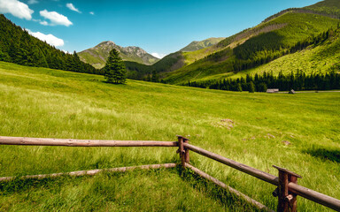 Fototapeta na wymiar landscape with fence and grass