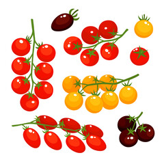 Vector colorful set of tomatoes cherry isolated on white. - 442308213