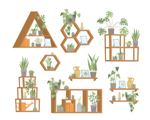 Vector set of trendy flat shelf with plants in pots