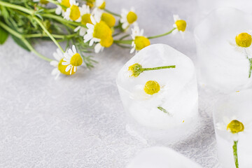Chamomile in ice cubes on a gray table