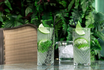 gin tonic mojito glass coktail water ice lime tropical leaves table drink