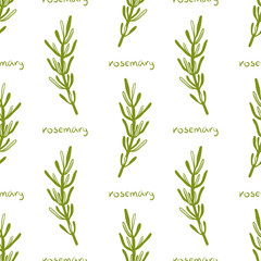 Seamless pattern with rosemary. Colorful paper cut culinary herbs isolated on white background. Doodle hand drawn vector illustration