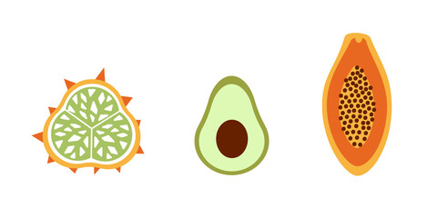 Vector set of tropical exotic fruits on the white background. Kiwano, avocado and papaya. African food.