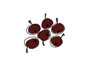 Obraz premium Autumn leaves, acorns and berries. Isolated on white. Cut seasonal elements.