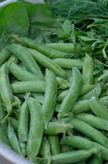 Pods of young green peas close up together with a fresh herbs