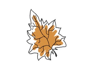 Obraz premium Autumn leaves, acorns and berries. Isolated on white. Cut seasonal elements.