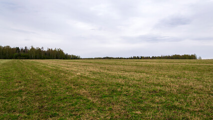 Fototapeta na wymiar landscape green field