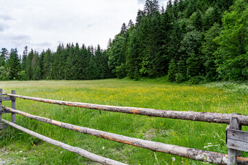 Wooden fence to a green alpine meadow in Salzburg, Austria