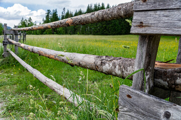 Fototapeta premium Wooden fence to a green alpine meadow in Salzburg, Austria