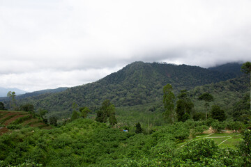 Fototapeta na wymiar Mountain view in tropical area with cloudy weather