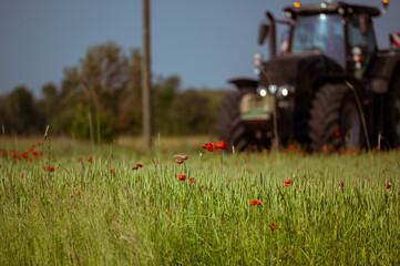 Poppy and tractor