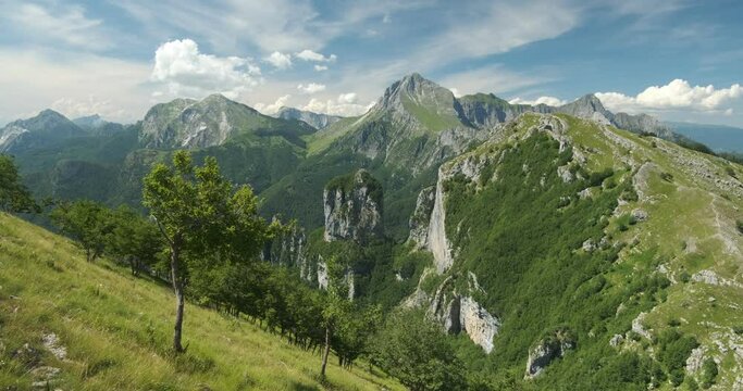Panorama Apuane. Apuan Alps mountains with flower in the foreground.Monte Corchia, Pania della Croce, Procinto and Nona seen from Monte Matanna. Italy. 
