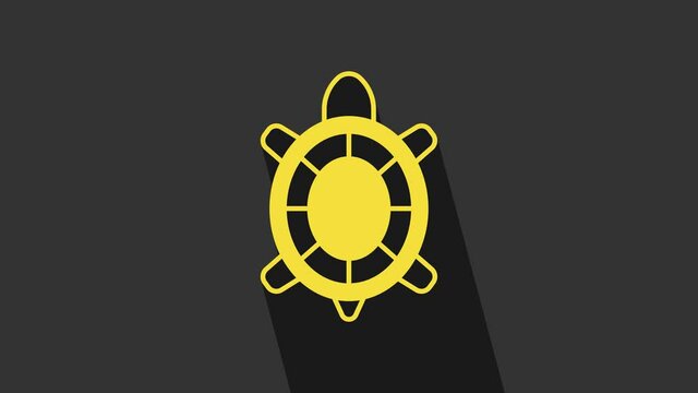 Yellow Turtle icon isolated on grey background. 4K Video motion graphic animation