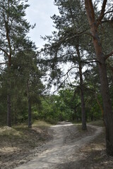 Visit to National park Loonse en Drunense Duinen (NL)