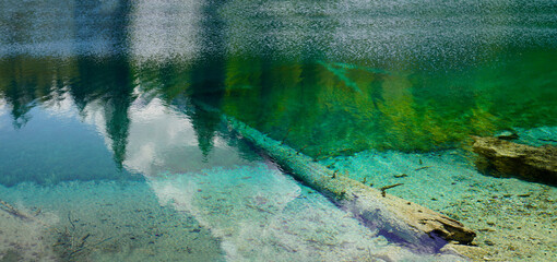 Baumstamm im klaren Bergsee.