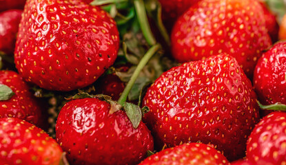 Close up of fresh ripped strawberries.