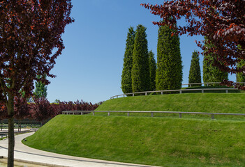 A hill with serpentine-type pedestrian paths with green lawn on slopes and thujas at top in public...