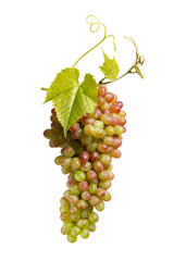 Fototapeta premium Ripe bunch of grapes with leaves isolated on white. Sultana grape.
