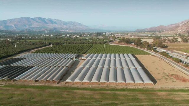 Aerial: Citrus and vegetable agriculture fields in Santa Paula, California, USA