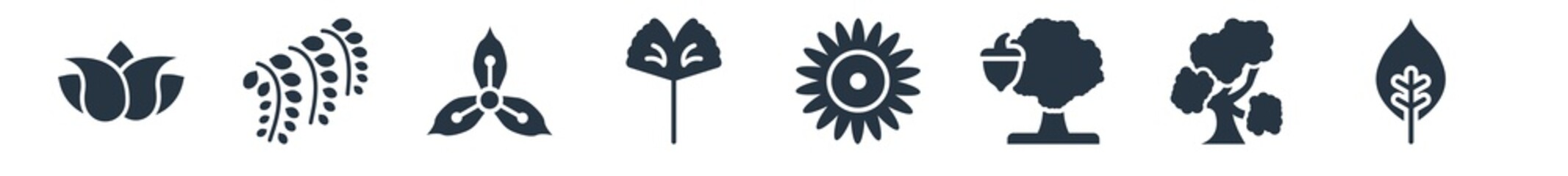 nature filled icons. glyph vector icons such as ovate, bitternut hickory tree, northern oak tree, flower, ginkgo, iris, black willow sign isolated on white background.