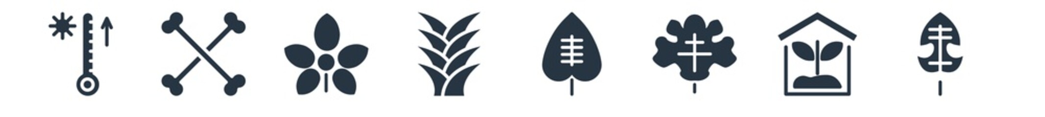 nature filled icons. glyph vector icons such as philodendron, indoor, orange leaf, cordate, yucca, chestnut leaf, death sign isolated on white background.