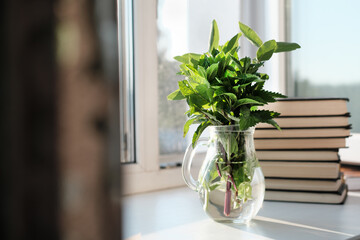 Bouquet of green herbs in a glass vase and books on the windowsill. fresh garden greens in a transparent jug, cozy morning concept