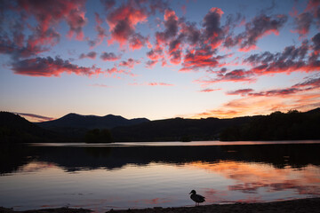 Sunset at Chambon lake in Auvergne Volcanic Regional Nature Park, France. Duck silhouette on the shore