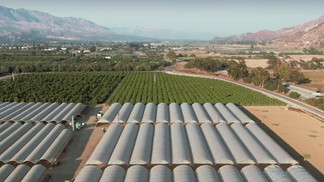 Aerial: Citrus and vegetable agriculture fields in Santa Paula. The Santa Paula freeway runs through it. California, USA