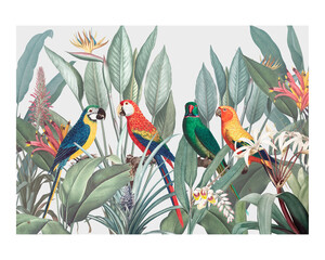 Colorful macaws on a tropical background vintage illustration © Rawpixel.com