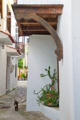 image from a narrow alley of a Greek island.