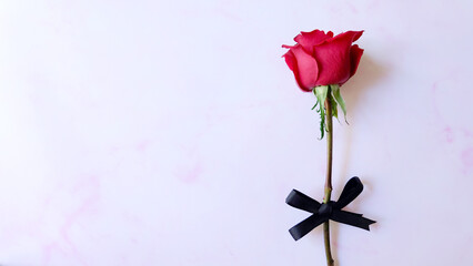 A single red rose, with a black ribbon bow tied around its stem. With copy space on the left.