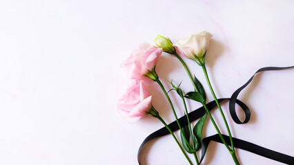 Beautiful pink flowers, with a black ribbon in the background. With copy space on the left.