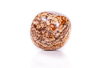 Macro mineral rock jasper landscape sandy on white background