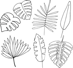 Set of tropical leaves. Hand drawn vector illustrations.