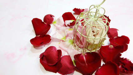 Roses in pink and cream, being locked inside a small bird cage, surrounded by red and pink rose petals.