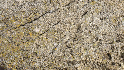 거칠고 단단한 바위 바탕