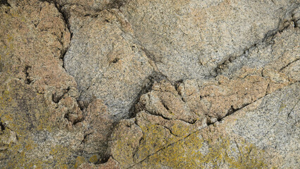 단단한 바위 바탕