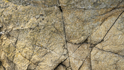 거칠고 단단한 바위 바탕 사진