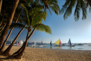 Tropical beach  with sailboats on the water