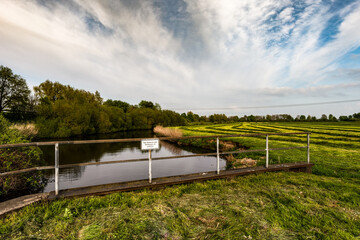 Maisparziergang am Hammedeich
