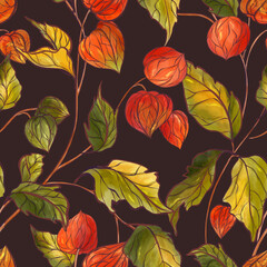 Fall autumn physalis plants dark, Ripe physalis bush seamless pattern. Redberries farm background fall design, autumn chinese lantern flowering bloom