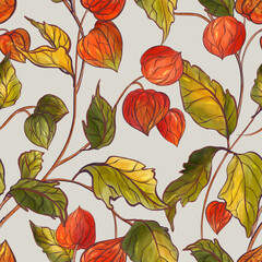 Obraz premium Fall autumn physalis plants light , Ripe physalis bush seamless pattern. Redberries farm background fall design, autumn chinese lantern flowering bloom