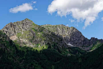 Fototapeta na wymiar mountains in austria