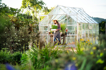 Young woman working at a glass greenhouse - obrazy, fototapety, plakaty